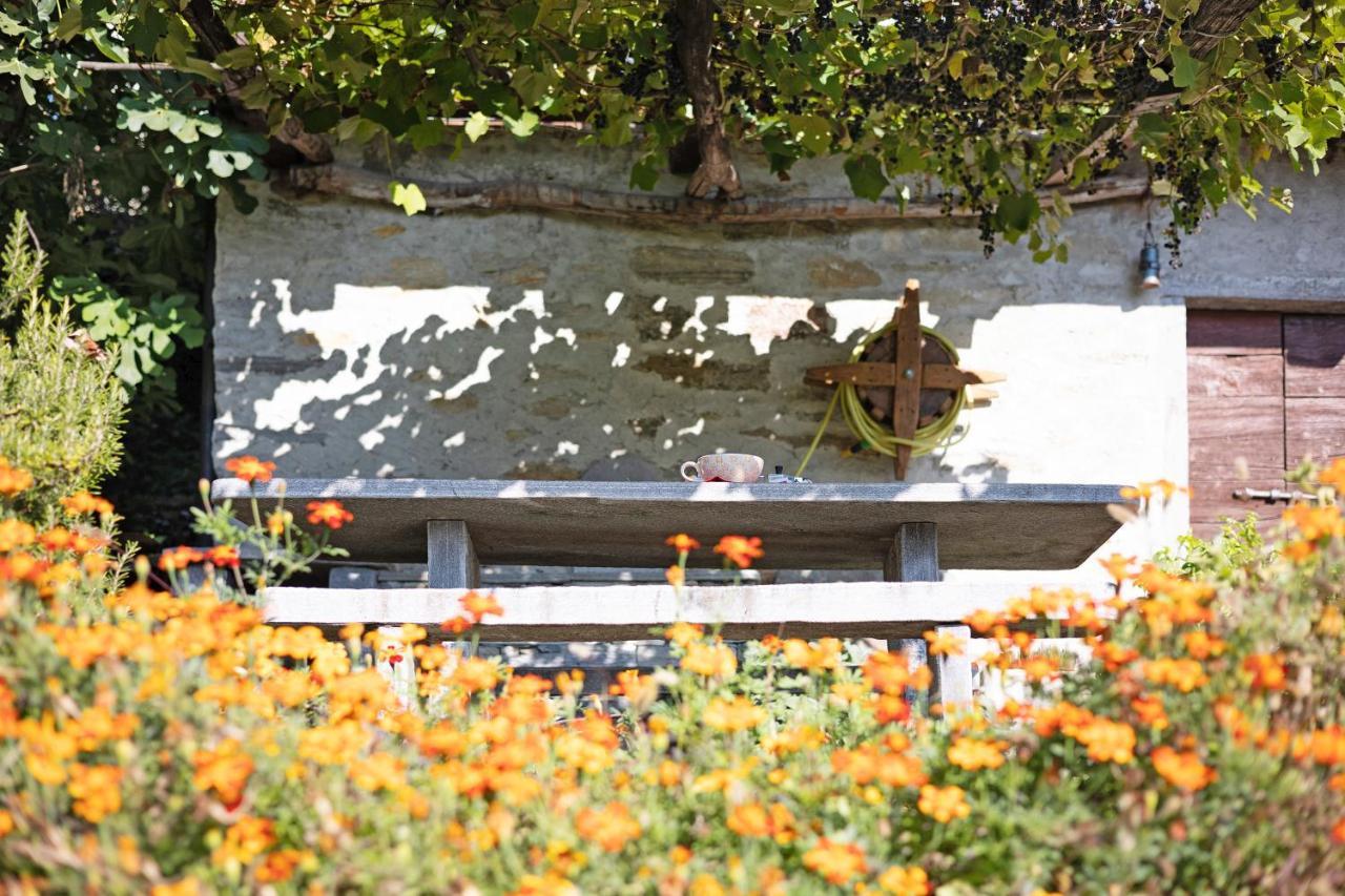 Al Pinone Villa Crevoladossola ภายนอก รูปภาพ