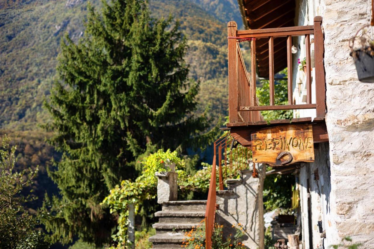 Al Pinone Villa Crevoladossola ภายนอก รูปภาพ